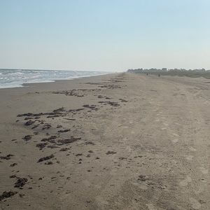 Meet your Posher, Reed